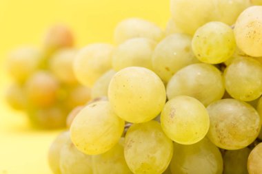 Sarı arka planda üzümler