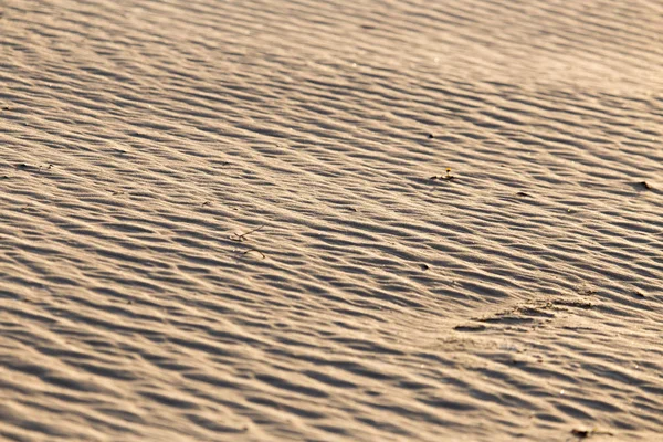 Zand in de natuur als achtergrond — Stockfoto