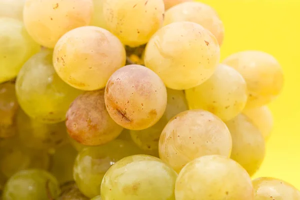 Grapes on a yellow background — Stock Photo, Image