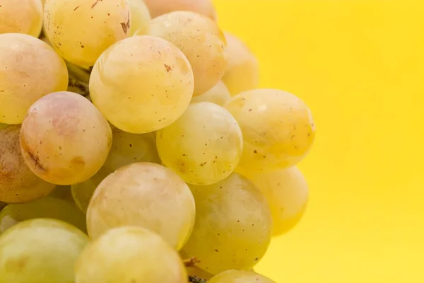 Grapes on a yellow background — Stock Photo, Image
