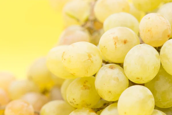 Grapes on a yellow background — Stock Photo, Image