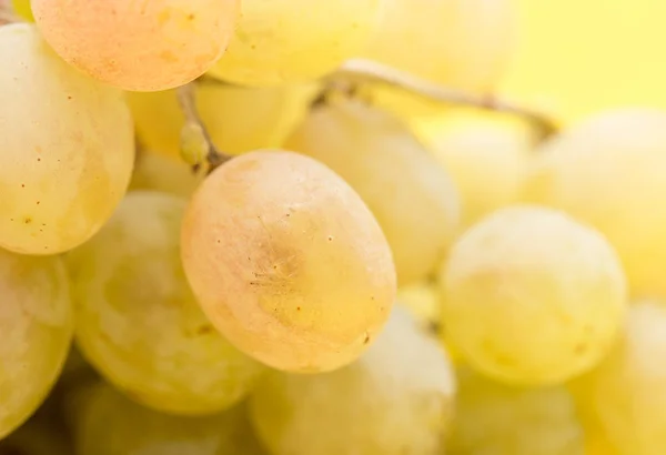Druiven op een gele achtergrond — Stockfoto