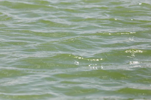 Achtergrond van het oppervlak van het water — Stockfoto