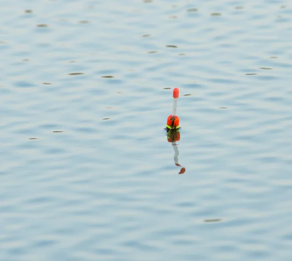 フロートが水に浮かんでいる釣り — ストック写真