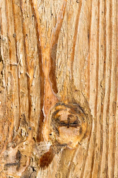 Altes Holz — Stockfoto