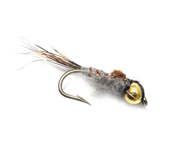 Fly for fishing on white background — Stock Photo, Image