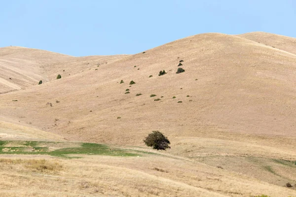 Natureza nas montanhas do Cazaquistão — Fotografia de Stock