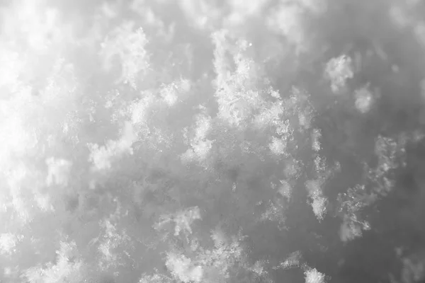 Snowflakes. super macro — Stock Photo, Image