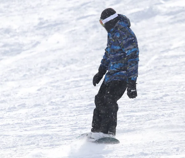 İnsanlar kışın karda snowboard yapıyor. — Stok fotoğraf