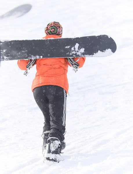Snowboard sur la neige en hiver — Photo