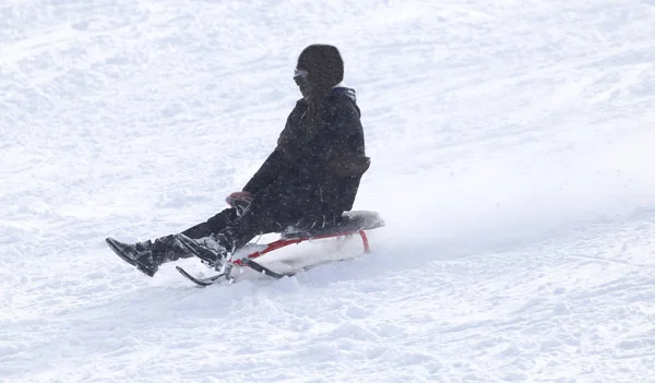 Hombre trineo en la nieve — Foto de Stock