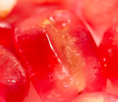 Kırmızı Lal. Makro