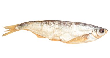 Beyaz bir arka plan üzerinde sabrefish füme balık