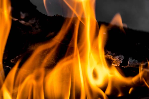 Abstrakter Hintergrund. Feuerflammen — Stockfoto