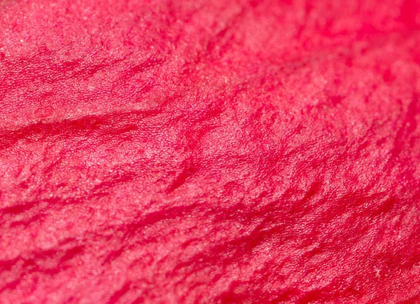 Красные лепестки роз в качестве фона. macro — стоковое фото