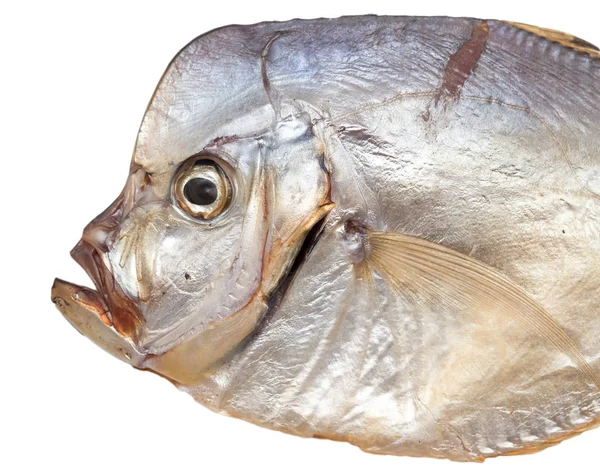 Beyaz arka planda tütsülenmiş balık — Stok fotoğraf