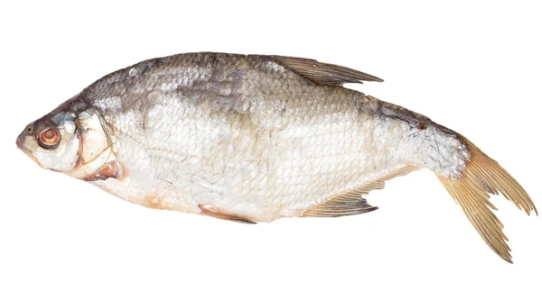 白色背景的熏鱼 — 图库照片