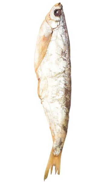 Sabrefish smoked fish on a white background — Stock Photo, Image