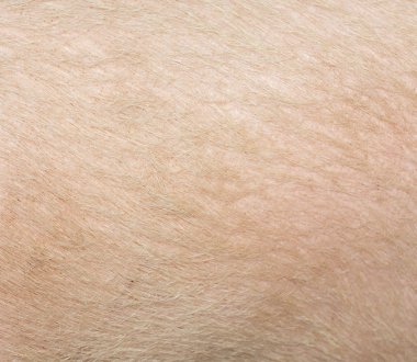 domuz deri arka plan olarak