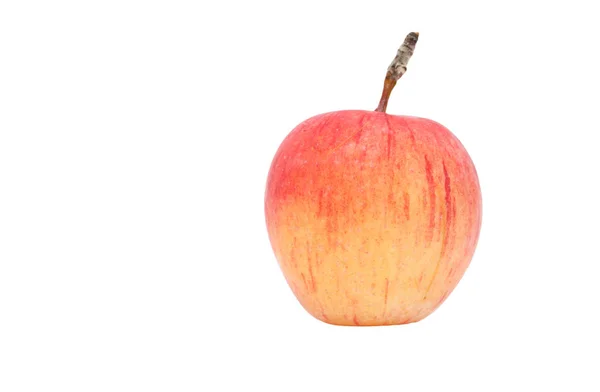 Beyaz zemin üzerinde bir elma — Stok fotoğraf