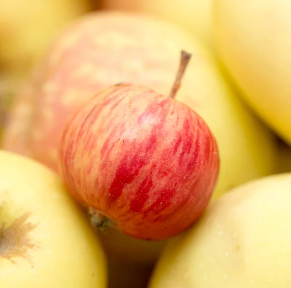 Manzanas jugosas maduras como fondo —  Fotos de Stock