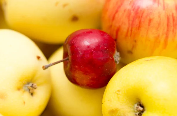 Manzanas jugosas maduras como fondo — Foto de Stock