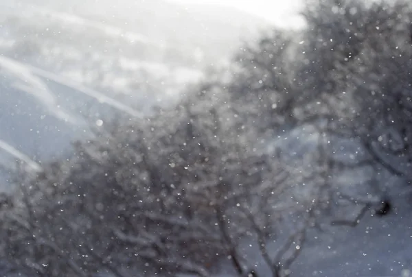 Δέντρο στο χιόνι στα βουνά — Φωτογραφία Αρχείου