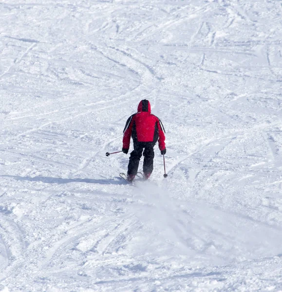 Persone che sciano in inverno — Foto Stock