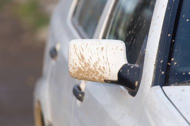 Beyaz araba üzerinde kir