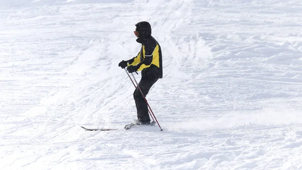 Persone che sciano sulla neve in inverno — Foto Stock