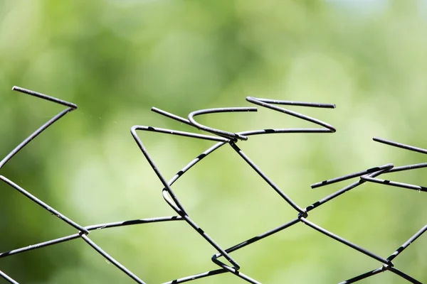 錆びた金属グリルフェンスマクロと自然背景 — ストック写真