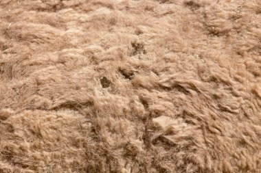 arka plan at kaplamaları