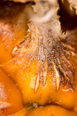 Sulu ananas arka plan olarak. Makro