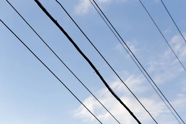 Elektrischer Draht gegen den Himmel — Stockfoto