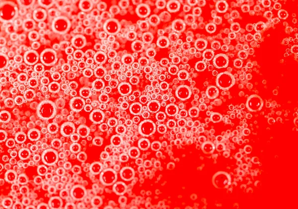 Gotas de miel sobre un fondo rojo — Foto de Stock