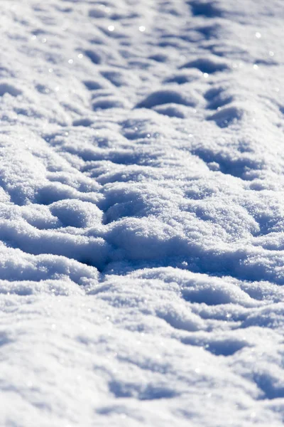 La neige dans la nature comme toile de fond — Photo