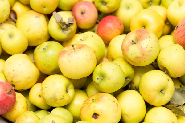 Manzanas jugosas maduras como fondo — Foto de Stock