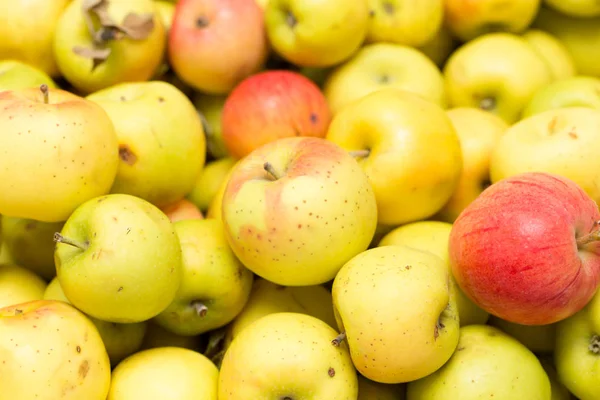 Спелые сочные яблоки в качестве фона — стоковое фото