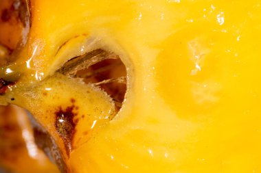 Sulu ananas arka plan olarak. Makro