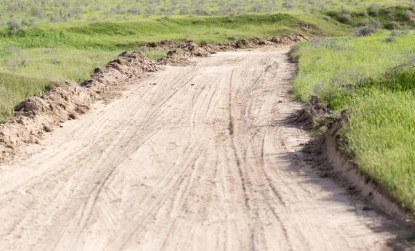 Camino en un campo — Foto de Stock