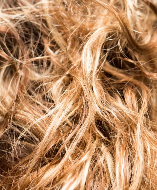 bir arka plan olarak saç. doku