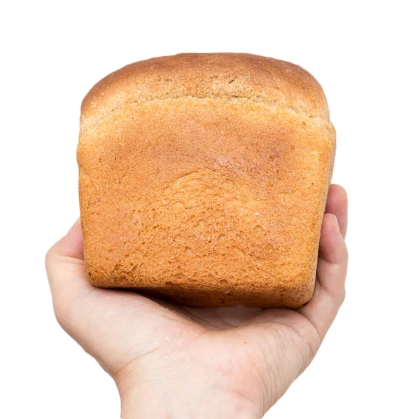 Friss kenyér, a kezében egy fehér háttér — Stock Fotó