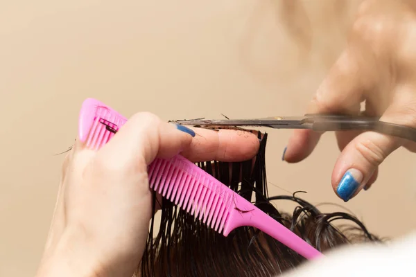 Tesoura de corte de cabelo feminino em um salão de beleza — Fotografia de Stock