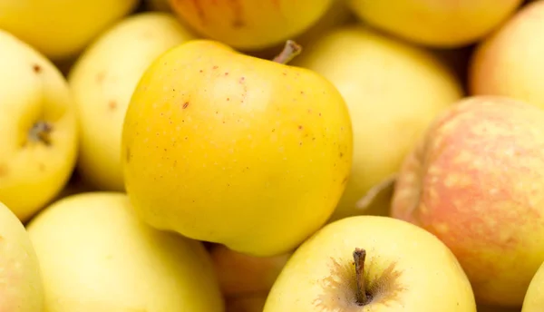 Ώριμα ζουμερά μήλα ως φόντο — Φωτογραφία Αρχείου