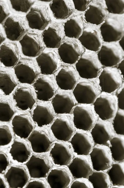 Honeycomb geting som bakgrund. konsistens — Stockfoto