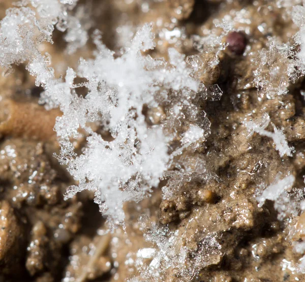 地面に雪の結晶。スーパー マクロ — ストック写真