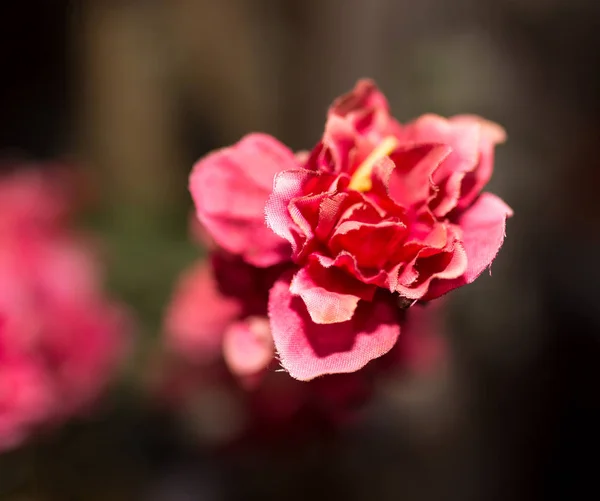 Flor artificial vermelha como fundo — Fotografia de Stock