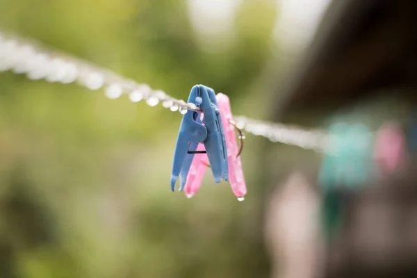 Abbigliamento piolo con gocce d'acqua dopo la pioggia al mattino . — Foto Stock