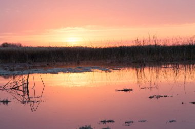Gölün üzerinde güneşin güzel gündoğumu