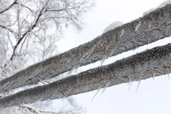 Grote ijspegels opknoping van een pijp op de natuur — Stockfoto